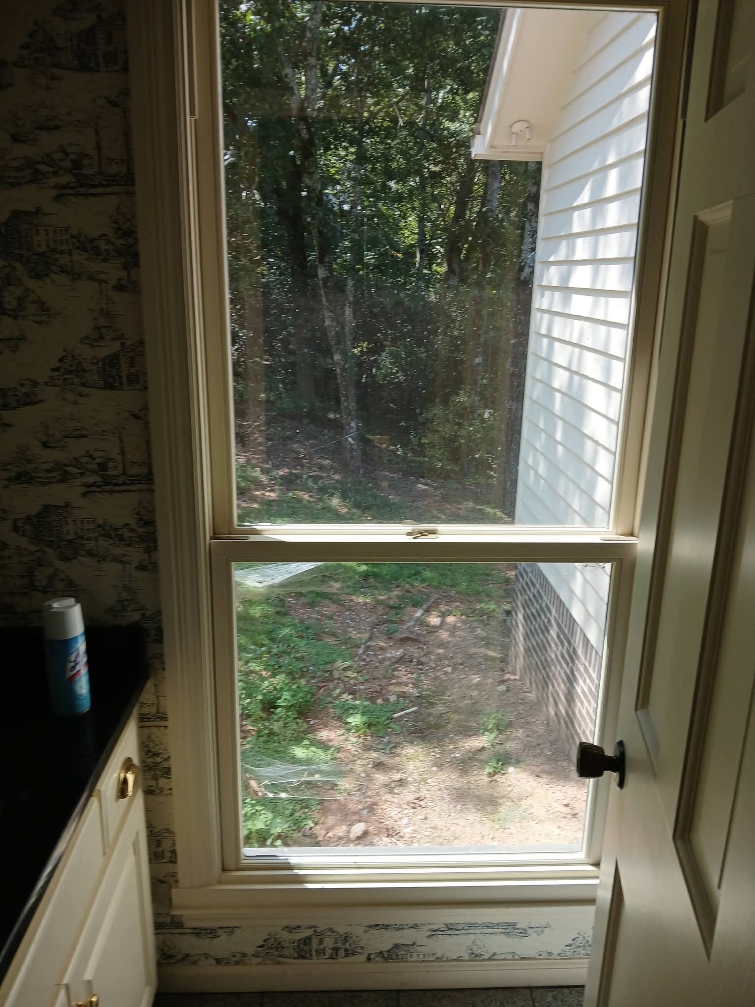 Lake Martin area residential window film project, additional view four