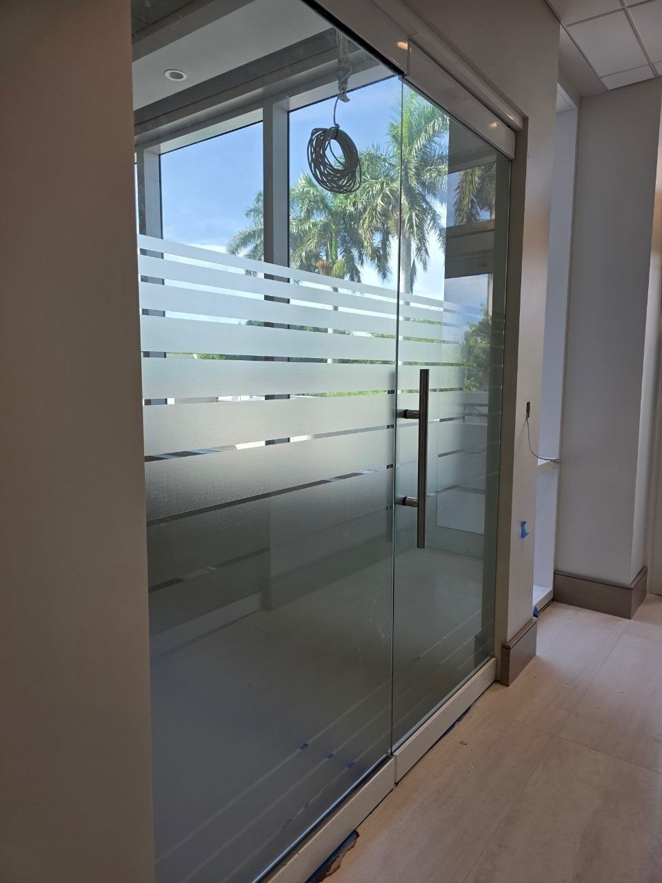 Frosted decorative film on an office glass door with palm trees visible outside